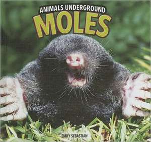 Moles de Emily Sebastian