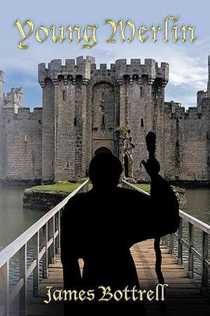 Young Merlin de James Bottrell
