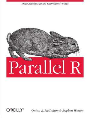 Parallel R de Q. Ethan Mccallum