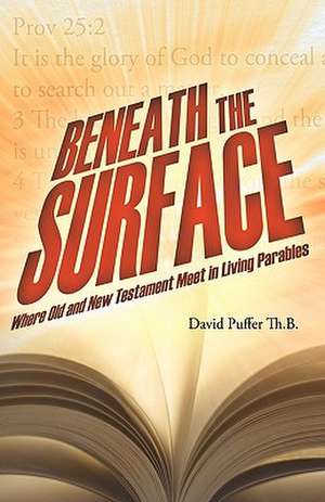 Beneath the Surface de Puffer Th B David Puffer Th B
