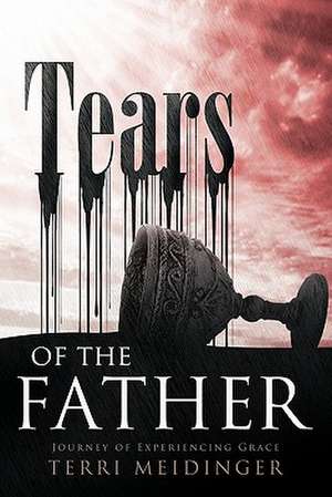 Tears of the Father de Terri Meidinger