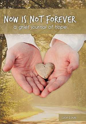 Now Is Not Forever de Luan Louis