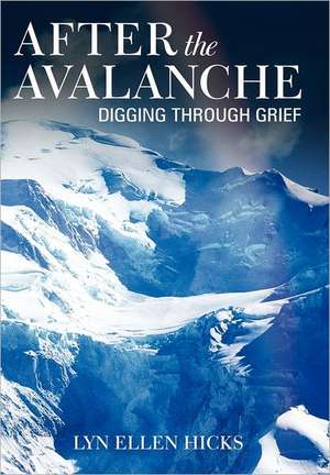 After the Avalanche de Lyn Ellen Hicks