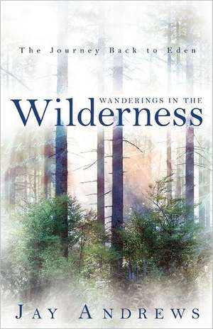 Wanderings in the Wilderness de Jay Andrews