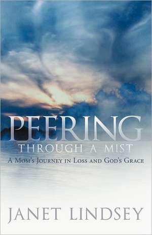 Peering Through a Mist de Janet Lindsey