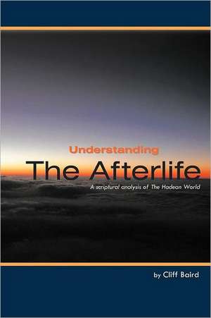 Understanding the Afterlife de Cliff Baird