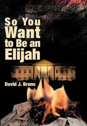 So You Want to Be an Elijah de David J. Bruns