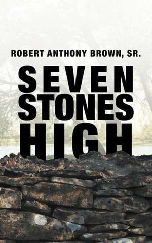 Seven Stones High de Robert Anthony Brown Sr