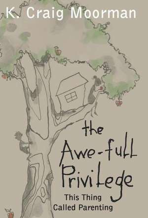 Moorman, K: Awe-Full Privilege