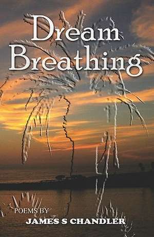 Dream Breathing de James S. Chandler