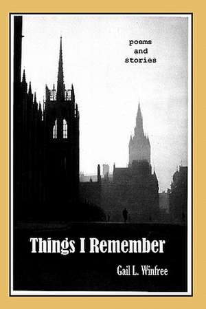 Things I Remember: Dictionary of Vocabulary for Middle Eastern Dance Studies de MR Gail L. Winfree