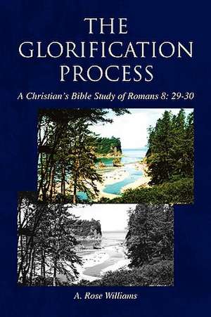 The Glorification Process de A. Rose Williams