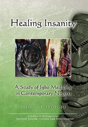 Healing Insanity de Patrick E. Iroegbu