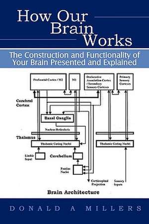 How Our Brain Works de Millers Donald Millers