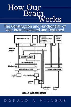 How Our Brain Works de Millers Donald Millers