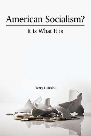 American Socialism? It Is What It Is de Terry L. Ursini