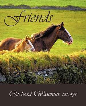 Friends de Richard Wasenius Csr Rpr