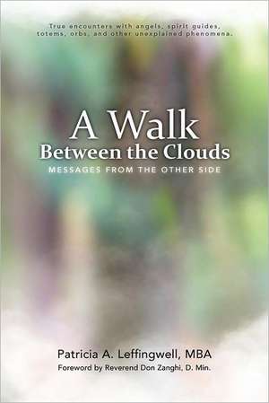 A Walk Between the Clouds: Messages from the Other Side de Patricia A. Leffingwell