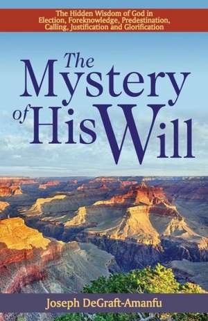 The Mystery of His Will de Joseph Degraft-Amanfu