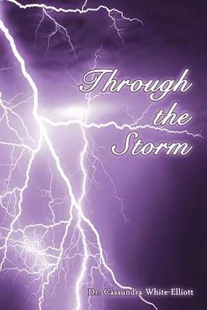 Through the Storm de Cassundra White-Elliott