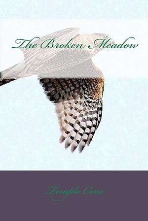 The Broken Meadow: What Every Employee Must Know about Securing Their Income & Their Future in Today's Changing Work Environment de Temple Cone