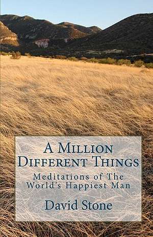 A Million Different Things de David Stone