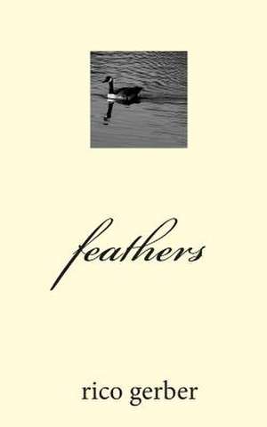 Feathers de Rico Gerber