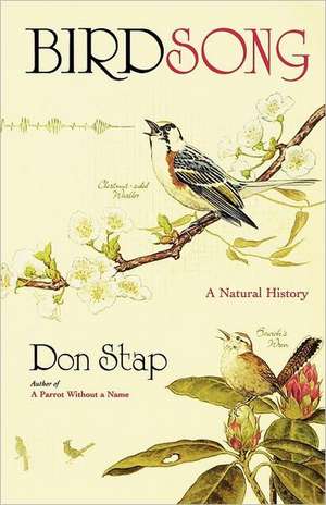 Birdsong de Don Stap