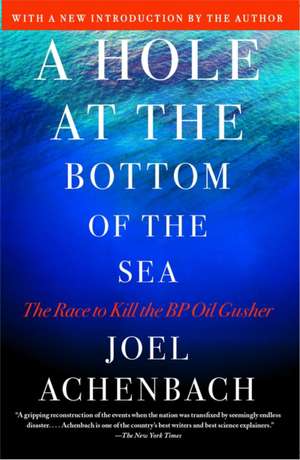 A Hole at the Bottom of the Sea: The Race to Kill the BP Oil Gusher de Joel Achenbach