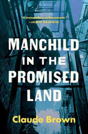 Manchild in the Promised Land de Claude Brown