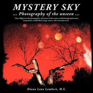 Mystery Sky de Diana Lane Lambert