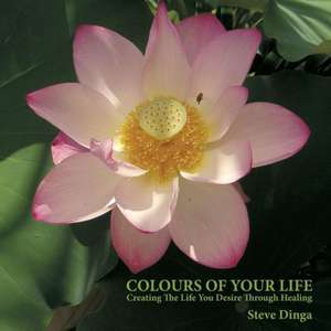 Colours of Your Life de Steve Dinga