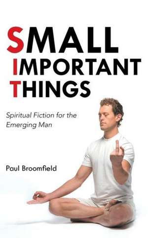 Small Important Things de Paul Broomfield