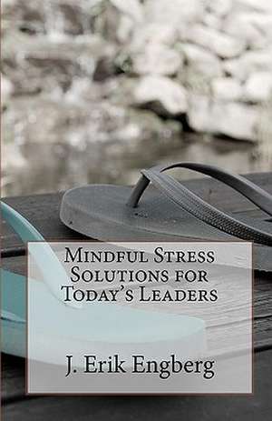 Mindful Stress Solutions for Today's Leaders de J. Erik Engberg