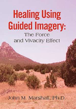 Healing Using Guided Imagery de John M. Marshall Ph. D