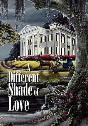 A Different Shade of Love de J. B. Gentry