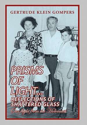 Prisms of Light...Reflections of Shattered Glass de Gertrude Klein Gompers