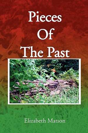 Pieces of the Past de Elizabeth Matson