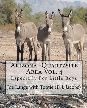 Arizona - Quartzsite Area Vol. 4 de Joe Lange