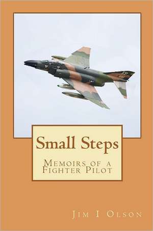 Small Steps de Jim I. Olson