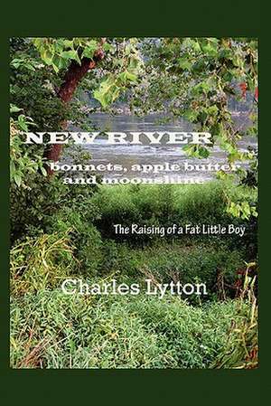 New River de Charles Lytton