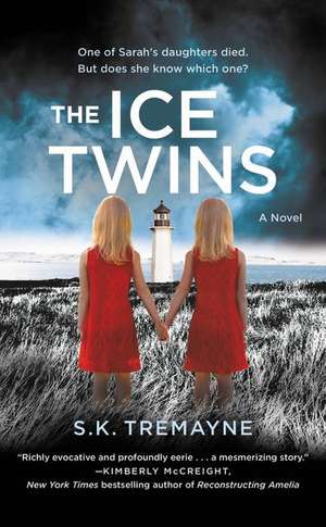 The Ice Twins: A Novel de S. K. Tremayne