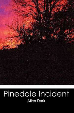 Pinedale Incident de Allen Dark