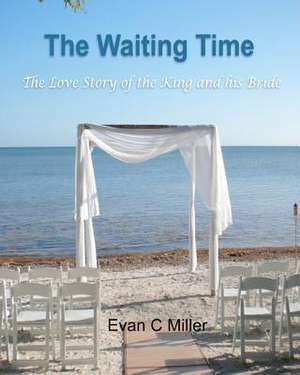 The Waiting Time de Evan C. Miller