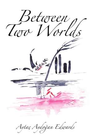 Between Two Worlds de Aytac Aydooan Edwards