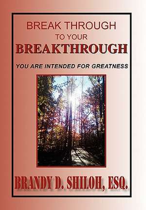 Shiloh, B: Break Through To Your Breakthrough