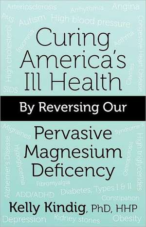 Curing America's Ill-Health by Reversing Our Widespread Magnesium Deficiency: Meneandose a Nueva York de PhD HHP Kelly Kindig