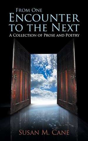 From One Encounter to the Next de Susan M. Cane