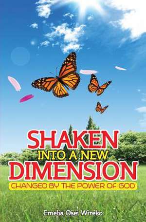 Shaken Into a New Dimension de Emelia Osei Wireko