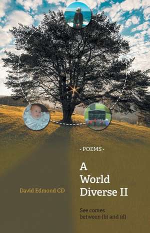 A World Diverse II de David Edmond